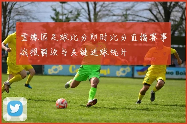 雪缘园足球比分即时比分直播赛事战报解读与关键进球统计