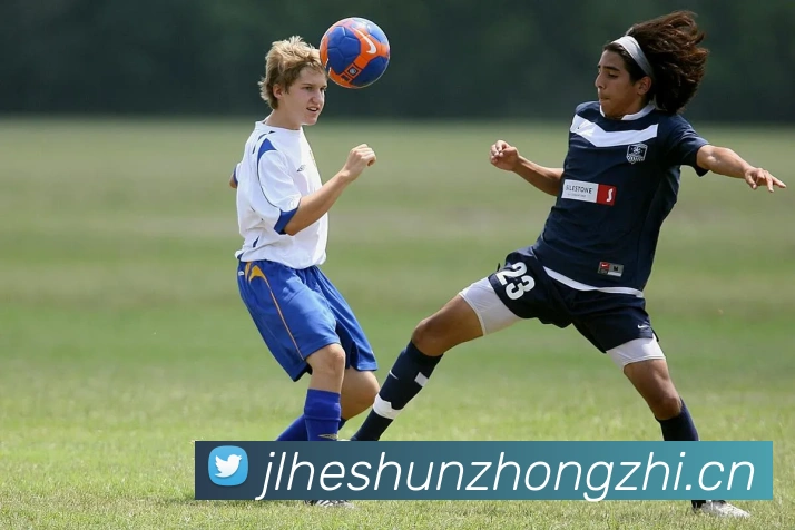 安博官网app品牌故事